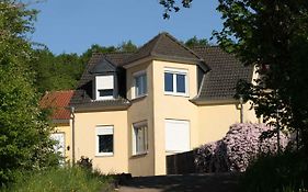 Villa Feyen In Trier